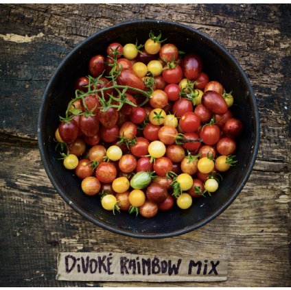 5826 rajcata divoka smes rainbow