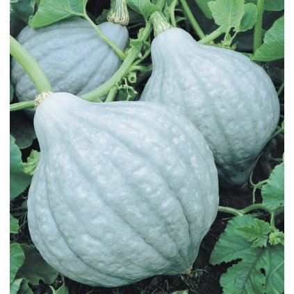 5856 screenshot 2024 02 12 at 16 52 10