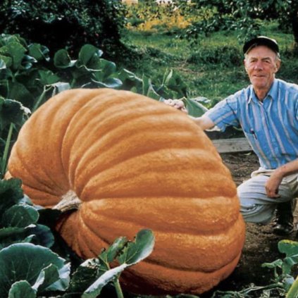 627 screenshot 2025 04 30 at 12 45 58