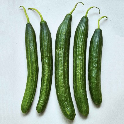 62 okurka salatovka telegraph