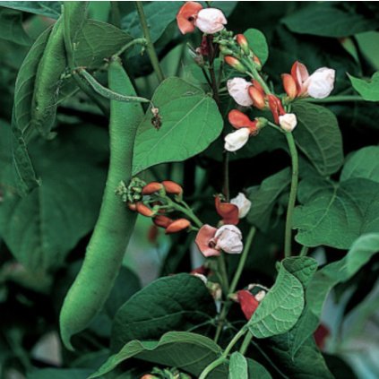 6504 screenshot 2025 01 30 at 16 58 28