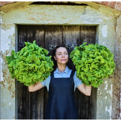 6555 salat americky simson