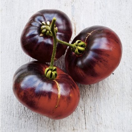 68 1 rajce indigo blue beauty