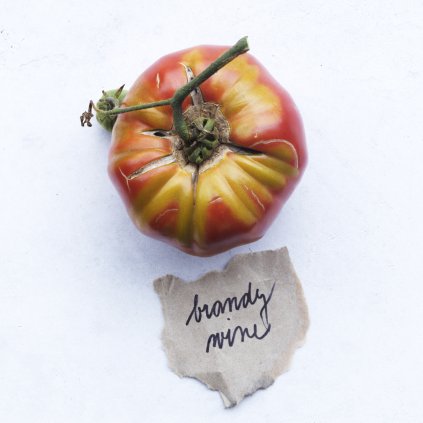 723 rajce brandywine