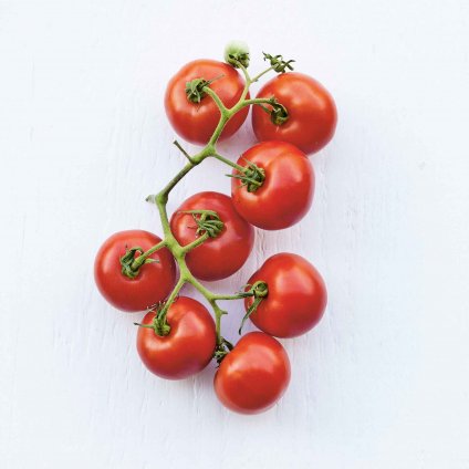 738 rajce moneymaker