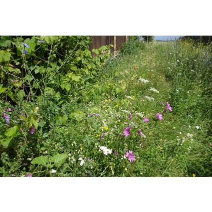 7434 vlhka louka kve tnata