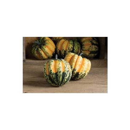 759 dyne celebration carnival f1