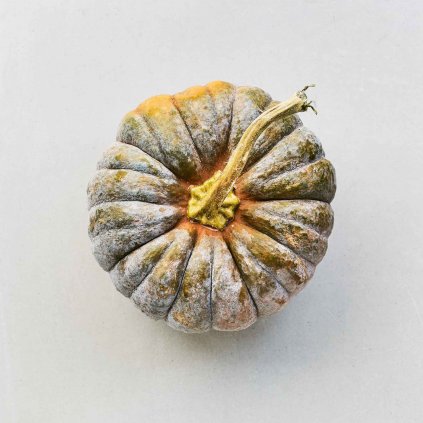 765 dyne futsu black