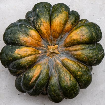 786 dyne muscade de provence