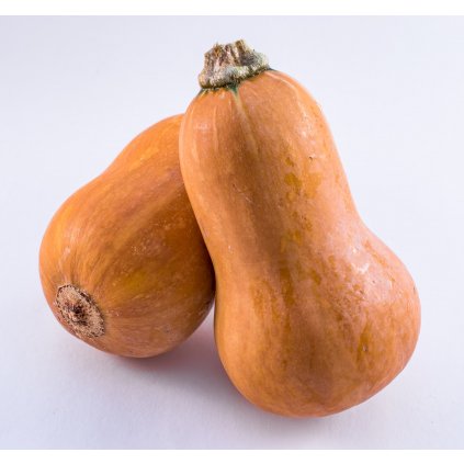 Dýně muškátová Honeynut