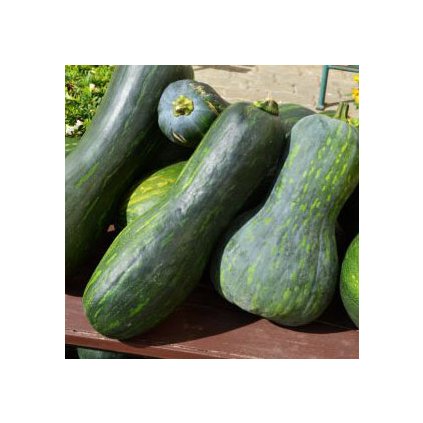 792 dyne lunga di napoli