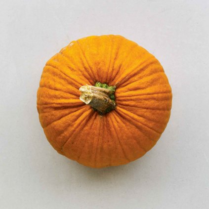 795 dyne new england pie