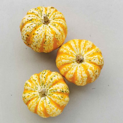 807 dyne sweet dumpling bio