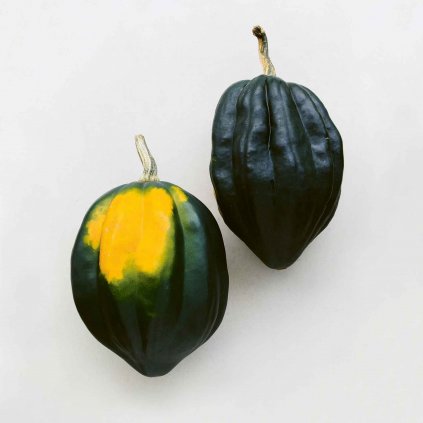 810 dyne zaludova table queen bio