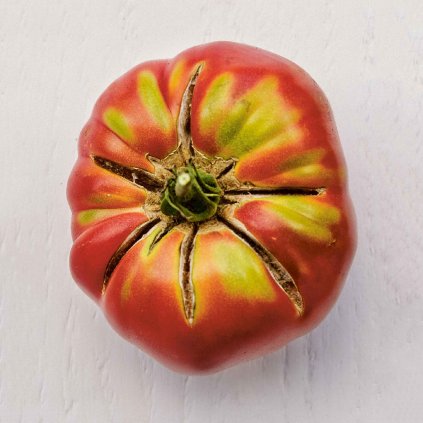 879 rajce olena ukrainian bio