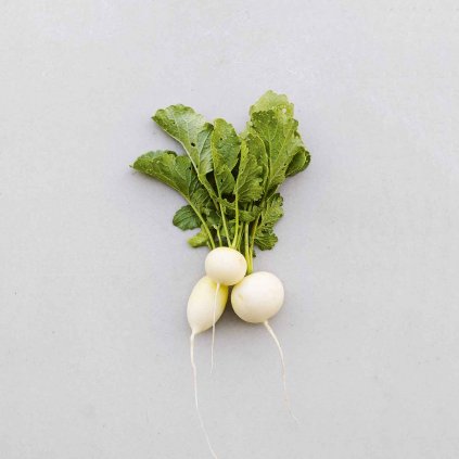 894 redkvicka blanka bio