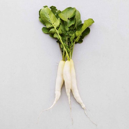 897 redkvicka letni rampouch bio