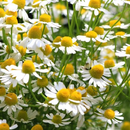 999 shutterstock 647926426 0