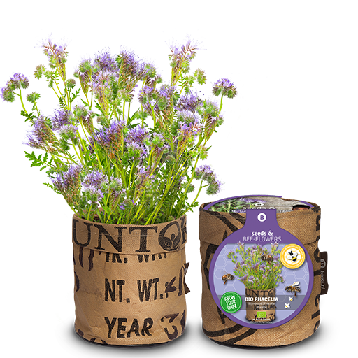Levně Květináč Bees & Butterflies se svazenkou BIO
