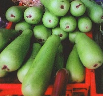 Levně Culina Botanica Kalabása italská jedlá Hercules