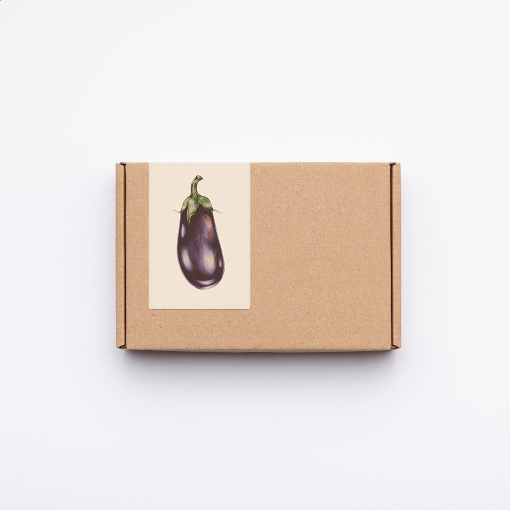Levně Culina Botanica Variace lilků