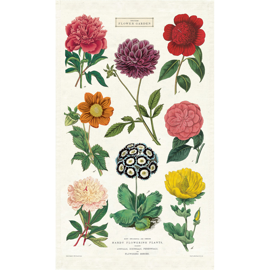 Dárkové balení: Záhon plný zeleniny Vyberte si variantu: Botanica