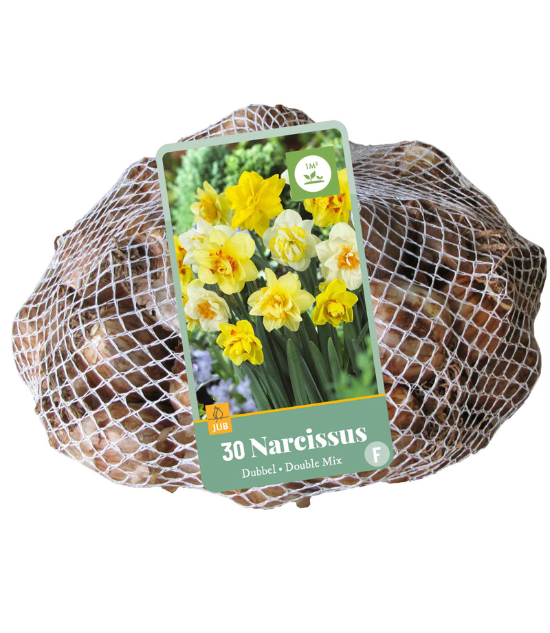Levně Narcis Double Mix 30 ks