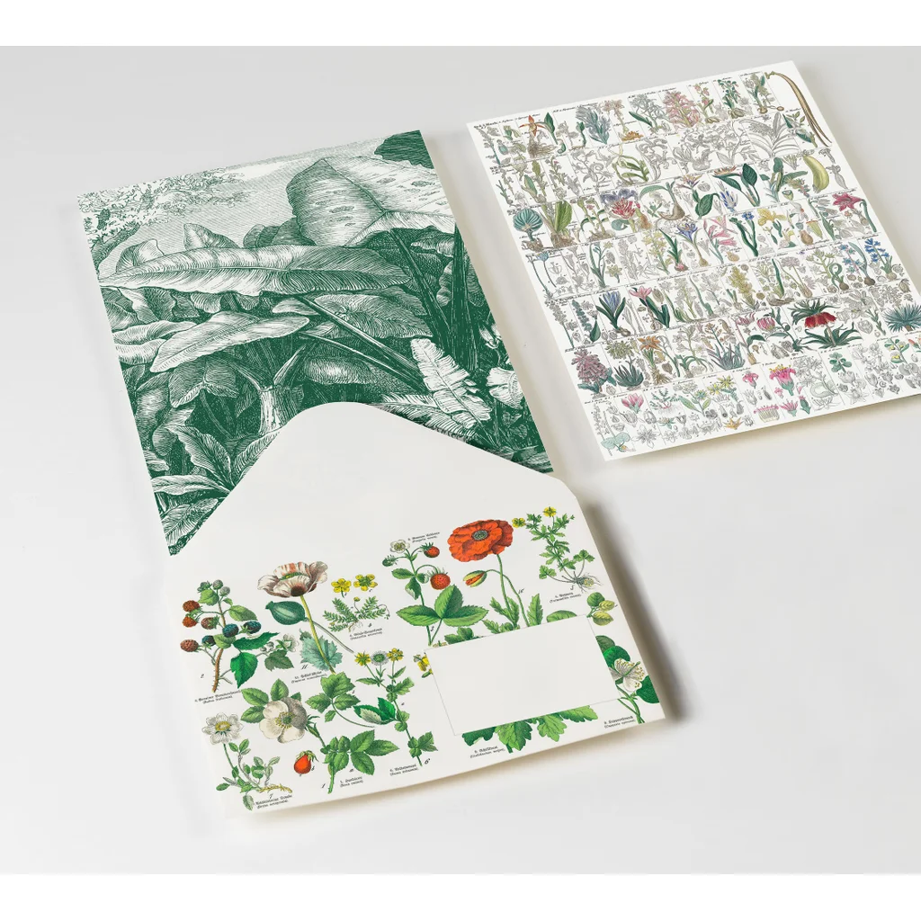 Kašmidaš The Pepin Press sada obálek, Botanical, C6, 20 kusů