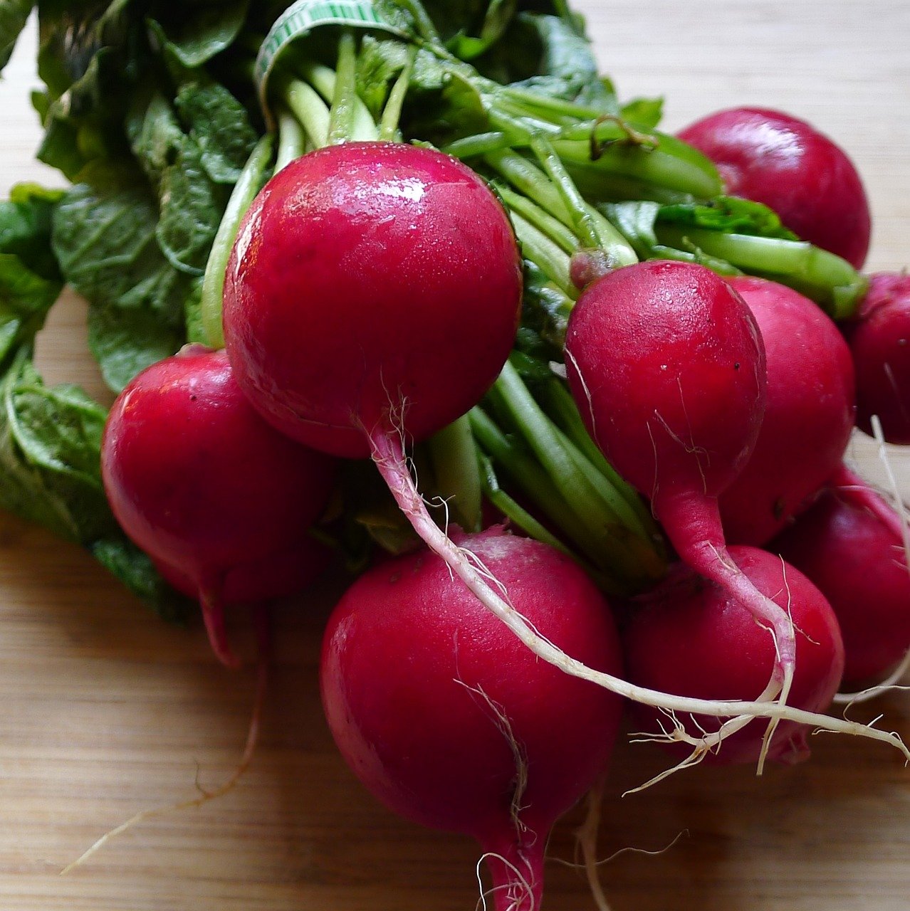 Levně Culina Botanica Ředkvička Lada