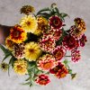 1904 zinnia jazzy 7029 3