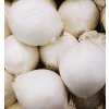 Cibule sazečka Snowball 250g