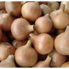 Cibule sazečka Všetana 250g