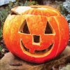 2003 dyne halloweenska jack o lantern