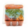 serre de jardinage enfant tomates bio a faire pousser