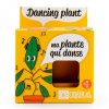 graines de plante qui danse a faire pousser pot 8 cm