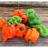 33521 carolina reaper