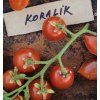 38121 koralik