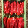 40011 2 paprika sweet palena bio
