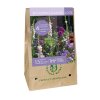 BAG 15 BULBS - BLOOMING SUMMER LOTTE ZAKX