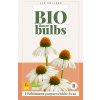 ECHINACEA PURPUREA WHITE SWAN 1X