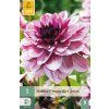 Jiřina CREME DE CASSIS 1 ks