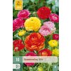Pryskyřník MIX 10 ks