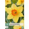 41877 narcis red devon