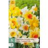 41829 narcis large cupped mix