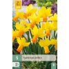 46609 1 41820 narcis jetfire