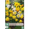 46630 41733 narcis botanical mix