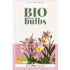 Tulipán Saxatilis 10 ks