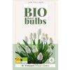 41718 modrenec white magic organic