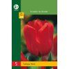 42663 tulipan red