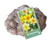 41850 narcis mix